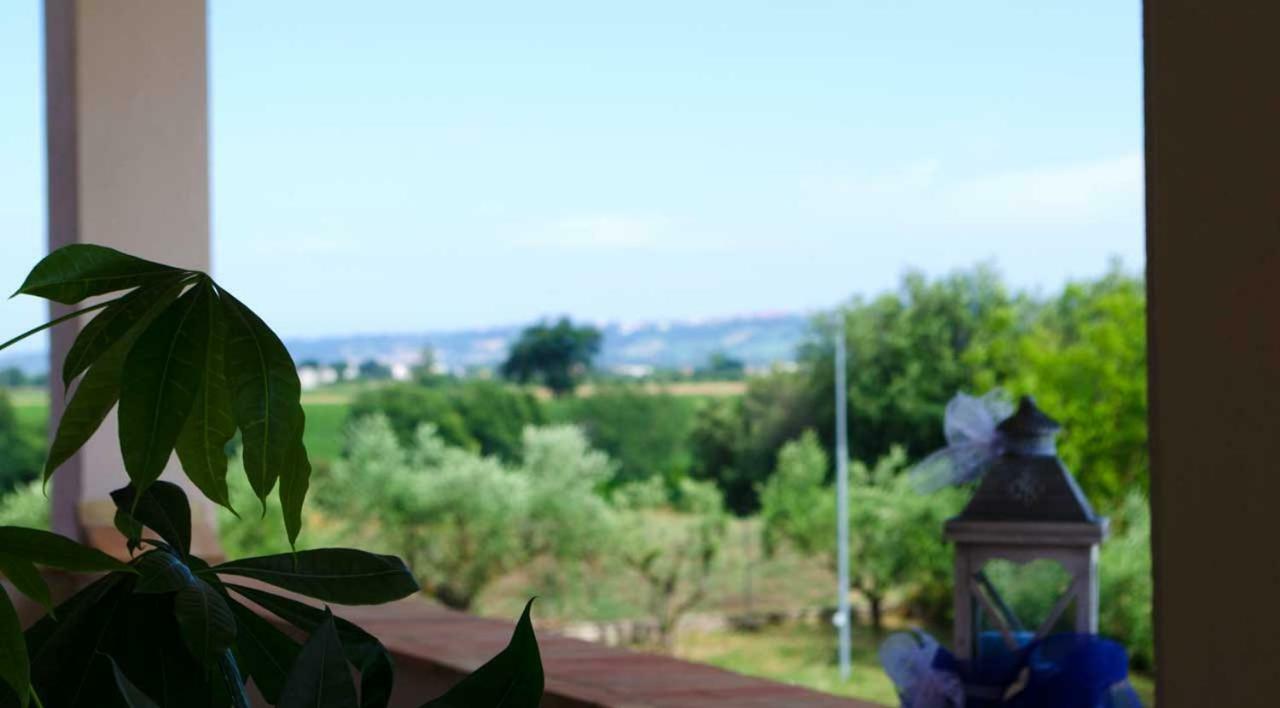 B&B Armonia Montecosaro  Bagian luar foto