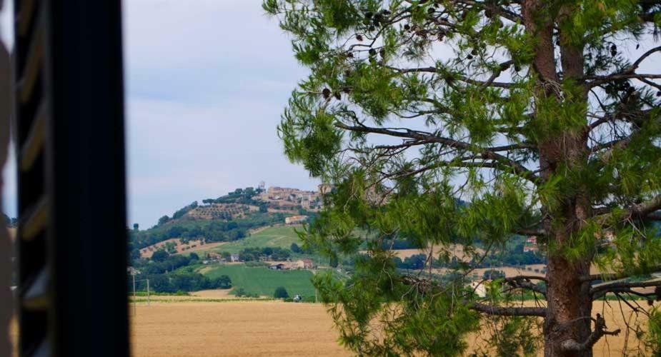 B&B Armonia Montecosaro  Bagian luar foto